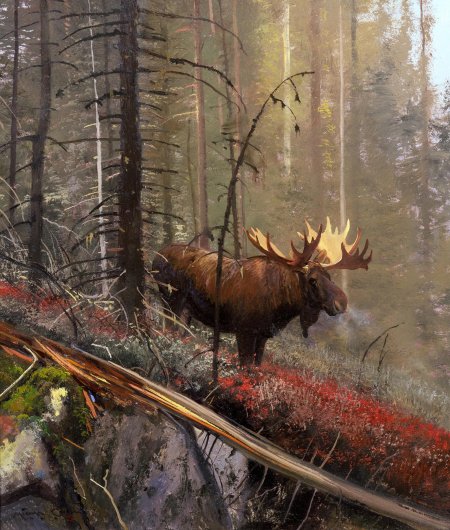 Карл рунгиус бычий лось