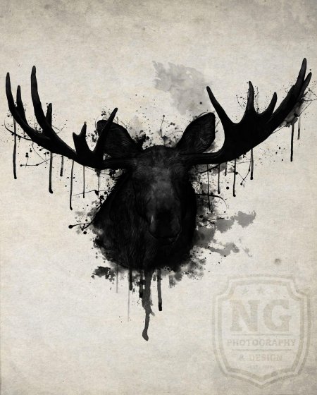 Лось графика