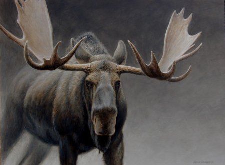 Художник-анималист даниэль смит