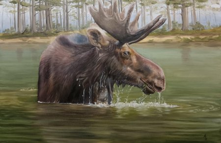 Лось животное