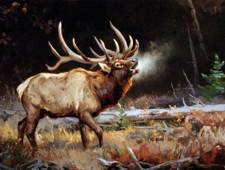 Карл рунгиус бычий лось