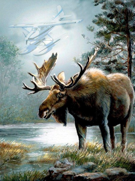 Пейзаж с лосем