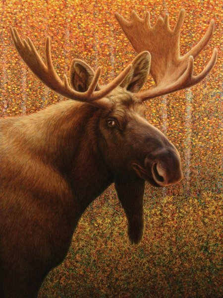 Лоси картина