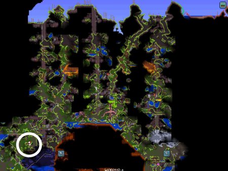 Цветок плантеры террария