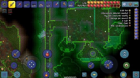 Ферма хлорофита террария