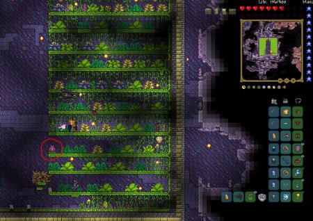 Арена для плантеры .