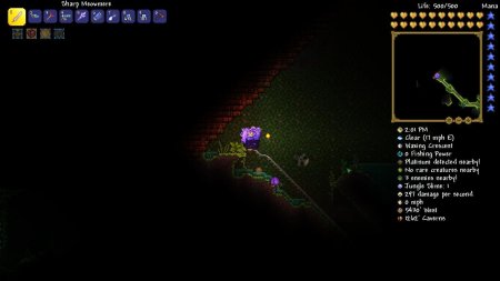 Плантера в террарии