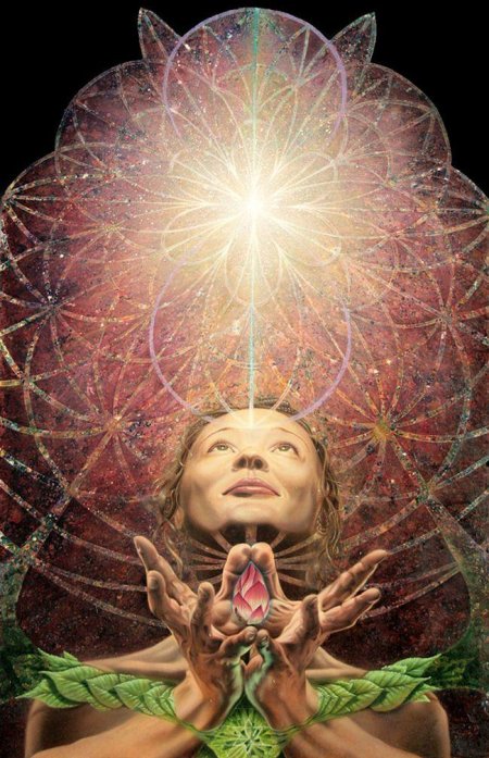 Цветок жизни психоделика