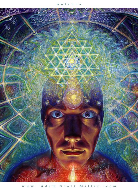 Человек высший разум