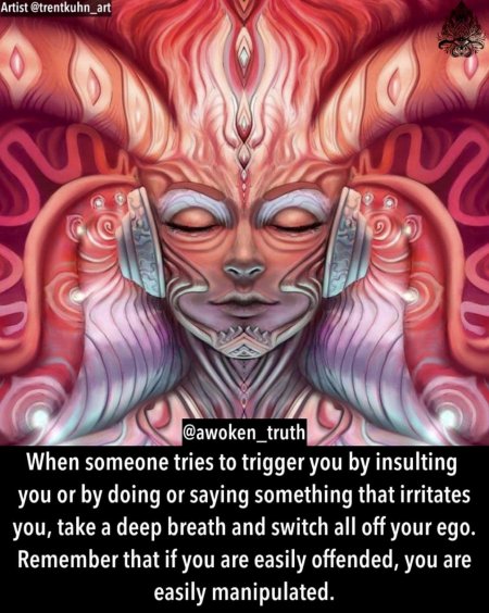 Сальвия дивинорум психоделик