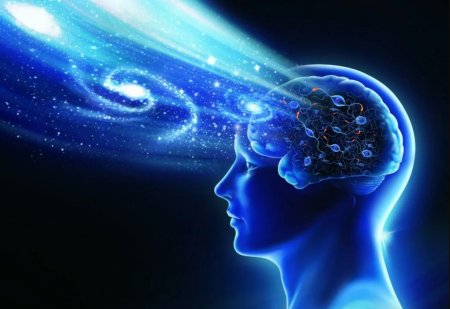 Человек мозг