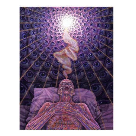 Алекс грей визионер