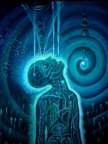 Алекс грей визионер