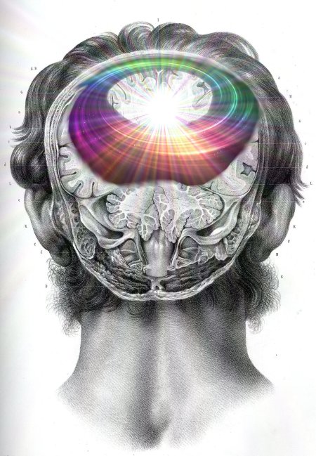 Сознание человека