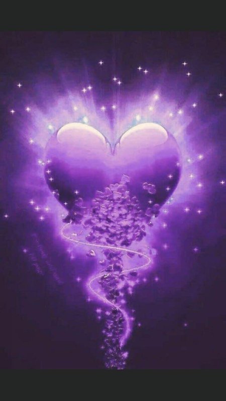 Сердце фиолетовое