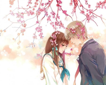 Аниме парочка