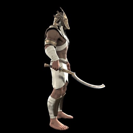 Анубис воин