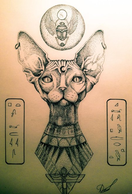 Египетский сфинкс кошка