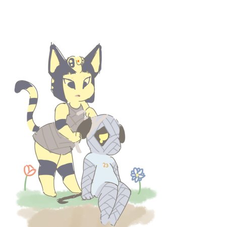 Кроссинг ankha