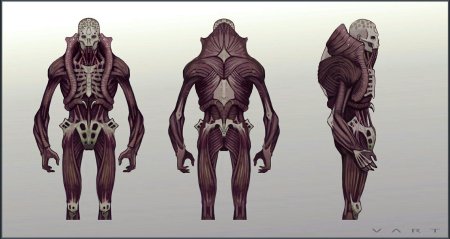 Турианцы масс эффект анатомия