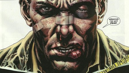 Walking dead deluxe cover e