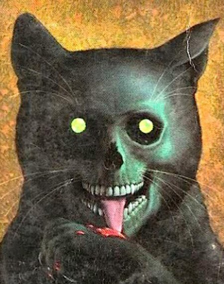 Жуткие коты