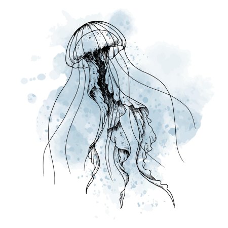 Медуза рисунок акварелью