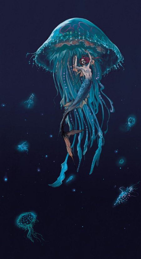 Харибда медуза