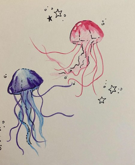 Цианея медуза