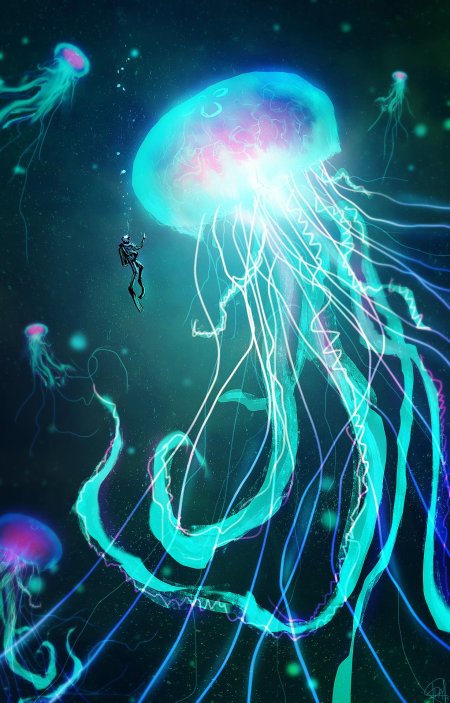 Медуза биология