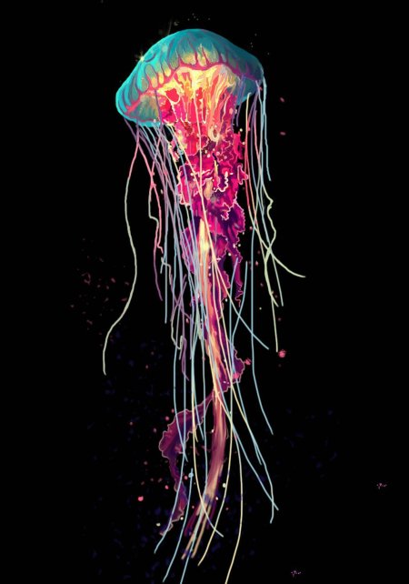 Медуза джеллифиш