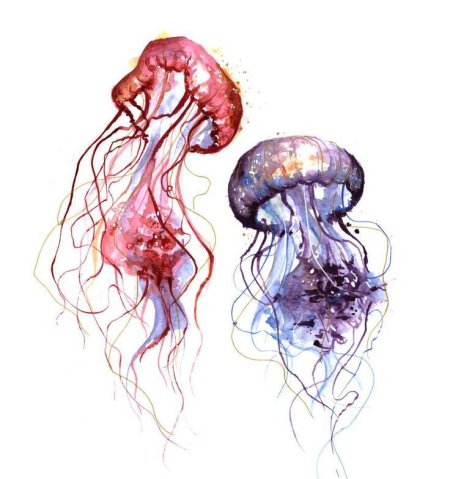 Медуза скетчинг