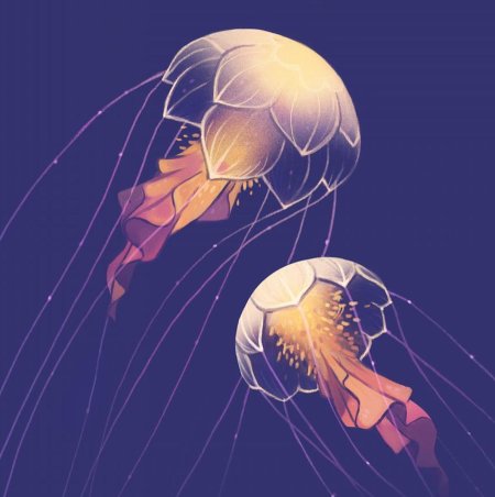 Медузы арты