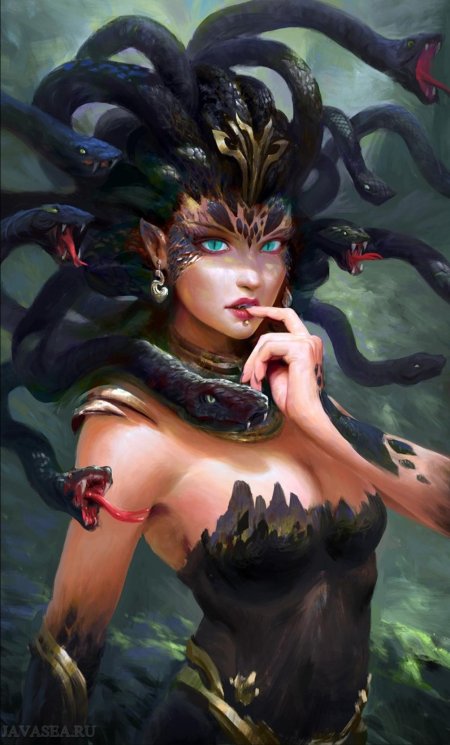 Медуза горгона красивая