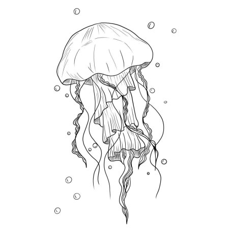 Медуза морская оса