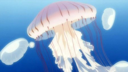 Принцесса медуз мультсериал 2010