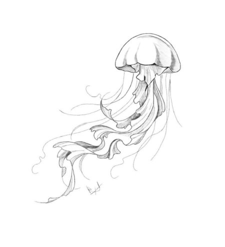 Медуза тату