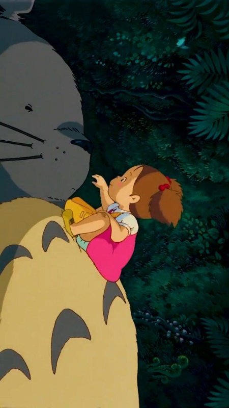 Мой сосед тоторо персонажи