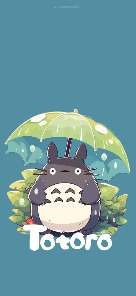 Тоторо с зонтиком