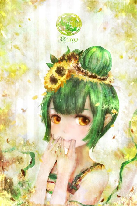 Знаки зодиака аниме