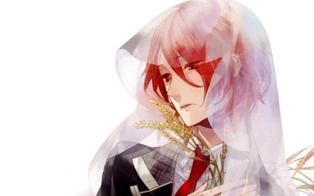 Хаято аодзора