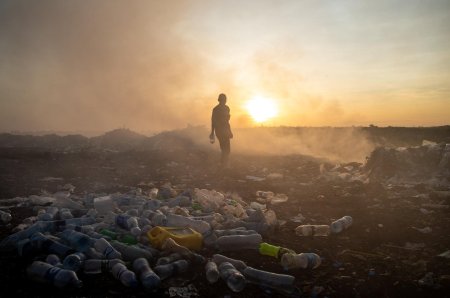 Экология загрязнение