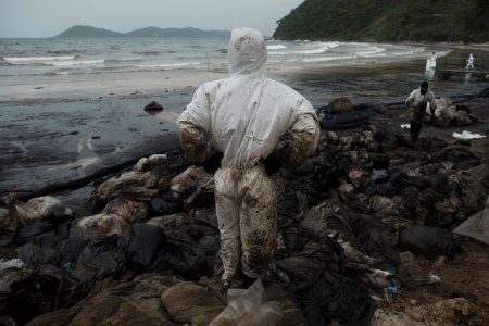 Что такое экологическая катастрофа