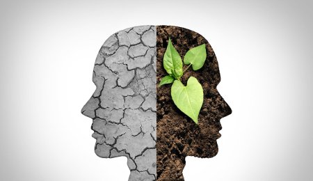 Психологическая экология