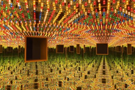 Infinity mirror room phalli s field
