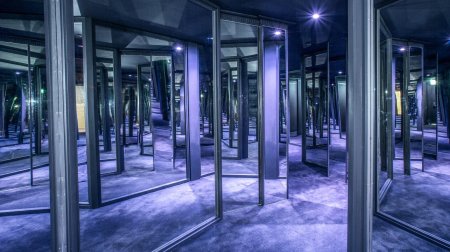 Зеркальный лабиринт петршин