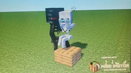 Wither x skeleton