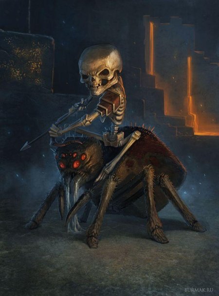 Скелет паука