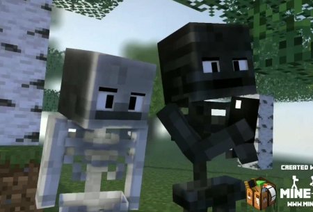 Minecraft wither skeleton