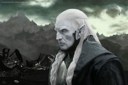 Халдир эльф